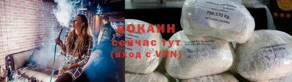 гидра Богданович