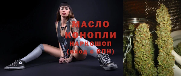 гидра Богданович