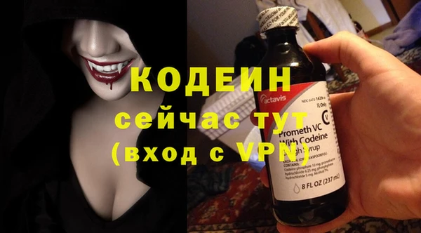 гидра Богданович