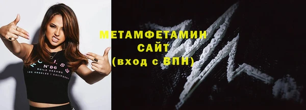 гидра Богданович