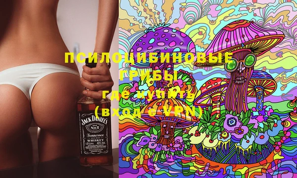 Альфа ПВП Богородск