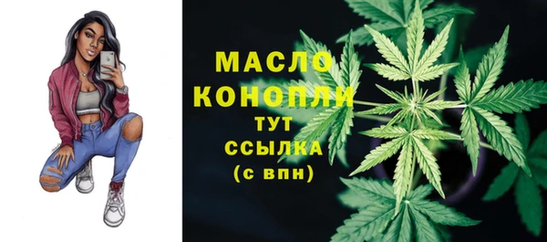гидра Богданович
